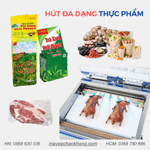 Máy hút chân không LD600